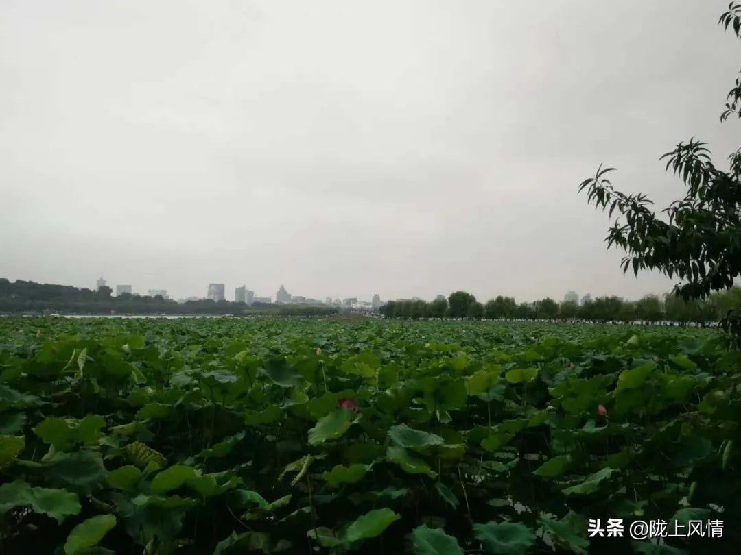 白银科技园最新招工,白银科技园最新招工信息大揭秘✨🚀白银科技园正在火热招聘人才！加入我们，共创未来！💼🔝💼✨