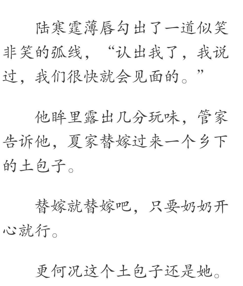 霍宴琛陆向暖最新更新,霍宴琛陆向暖最新更新，小巷中的隐秘美食宝藏