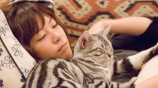猫咪av最新网站,关于猫咪与小巷中的特色小店的故事
