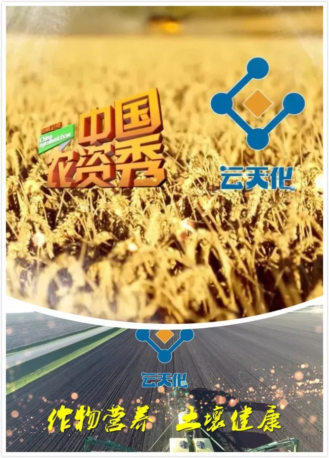云天化股份最新动态,云天化股份最新动态，小巷中的隐藏特色小店探秘