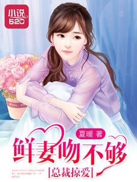 爱上冷傲女总裁 新篇,爱上冷傲女总裁 新篇全文解析