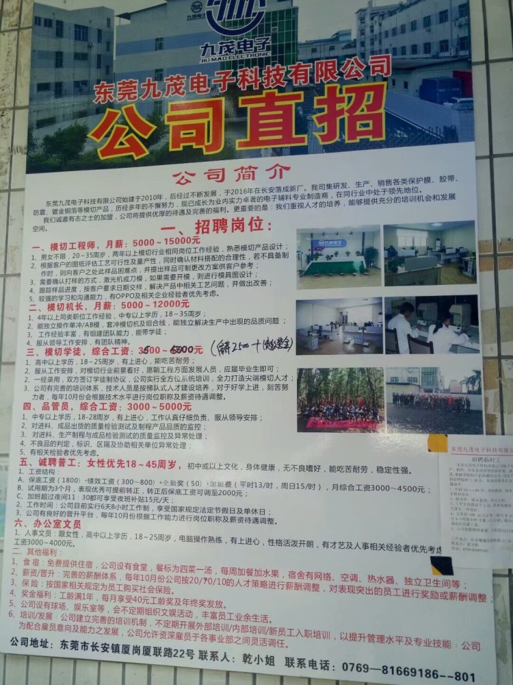 东莞沙田井上招聘信息,东莞沙田井上招聘信息获取步骤指南