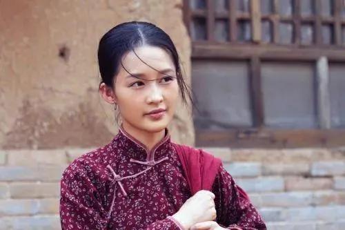 白鹿原主要演员,白鹿原主要演员