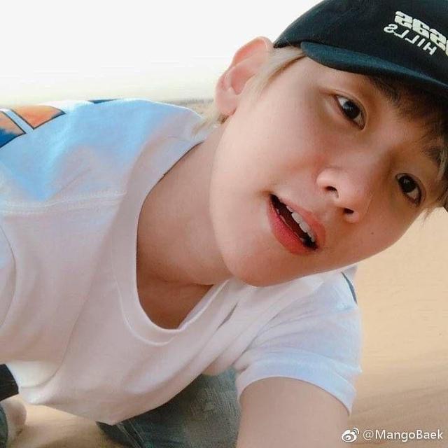 边伯贤Ins最新资讯,边伯贤Ins最新资讯，揭秘他的动态与生活