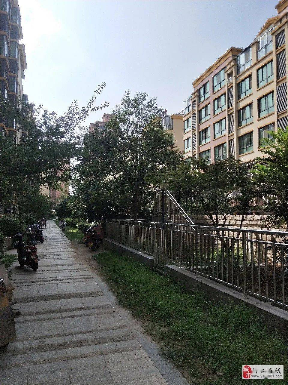 沂水楼盘最新销售信息,沂水楼盘最新销售信息背后的温馨故事